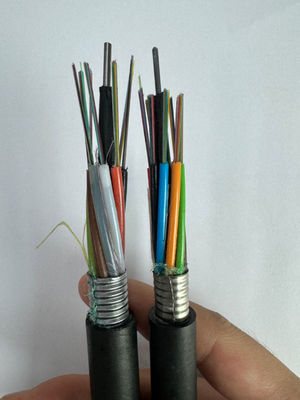 2 4 6 8 24 32 48 Cores Armoured Optical Fiber Cable GYTA Underground Fiber Cable