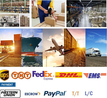 24 36 48 96 Kabel Serat Optik Pengeboran Langsung di Bawah Tanah GYTS53