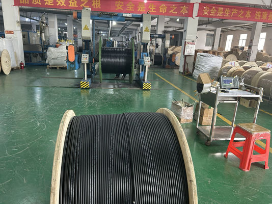 Single Mode G652D 24 48 Core Optical Direct Burial Kabel Serat Optik GYTA53