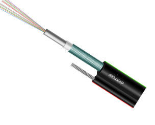 Ftth Fiber Drop Cable 2/4/6/8 Core Single Mode Outdoor Indoor Kabel Serat Optik
