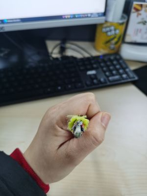 Kabel Komunikasi ADSS 24 Inti Mode Tunggal, Semua Kabel Serat Optik Dielektrik